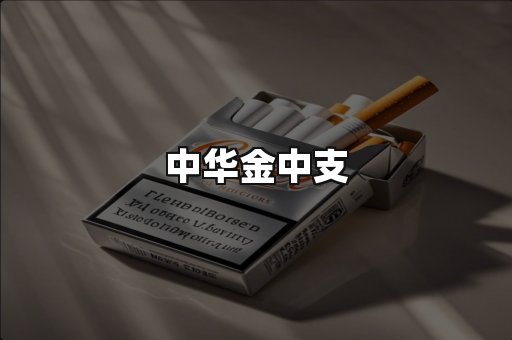 中华金中支